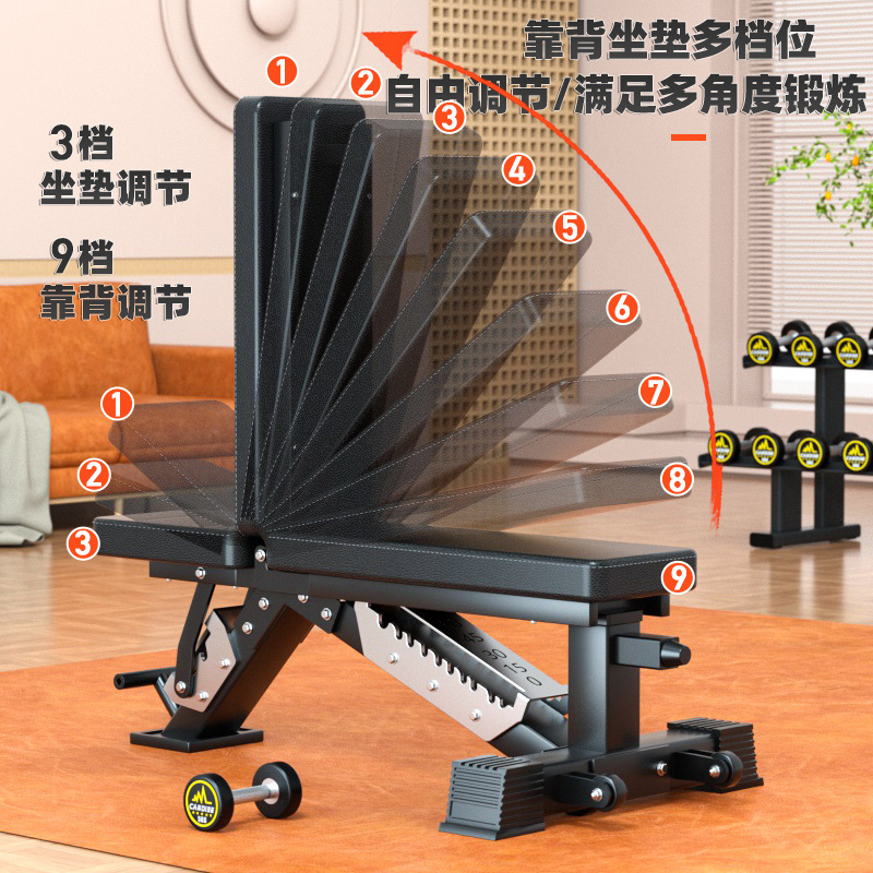 조절 가능한 다기능 덤벨 벤치, 벤치 프레스용 전문 웨 - Home Gym Yoga 리뷰 및 가격