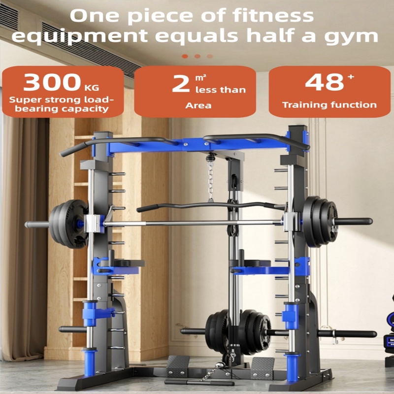 다기능 가정용 종합 트레이닝 장비 간트리 프레임 버드  - Home Gym Equipment Set 리뷰 및 가격
