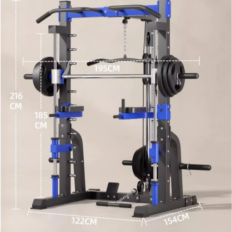 다기능 가정용 종합 트레이닝 장비 간트리 프레임 버드  - Home Gym Equipment Set 리뷰 및 가격