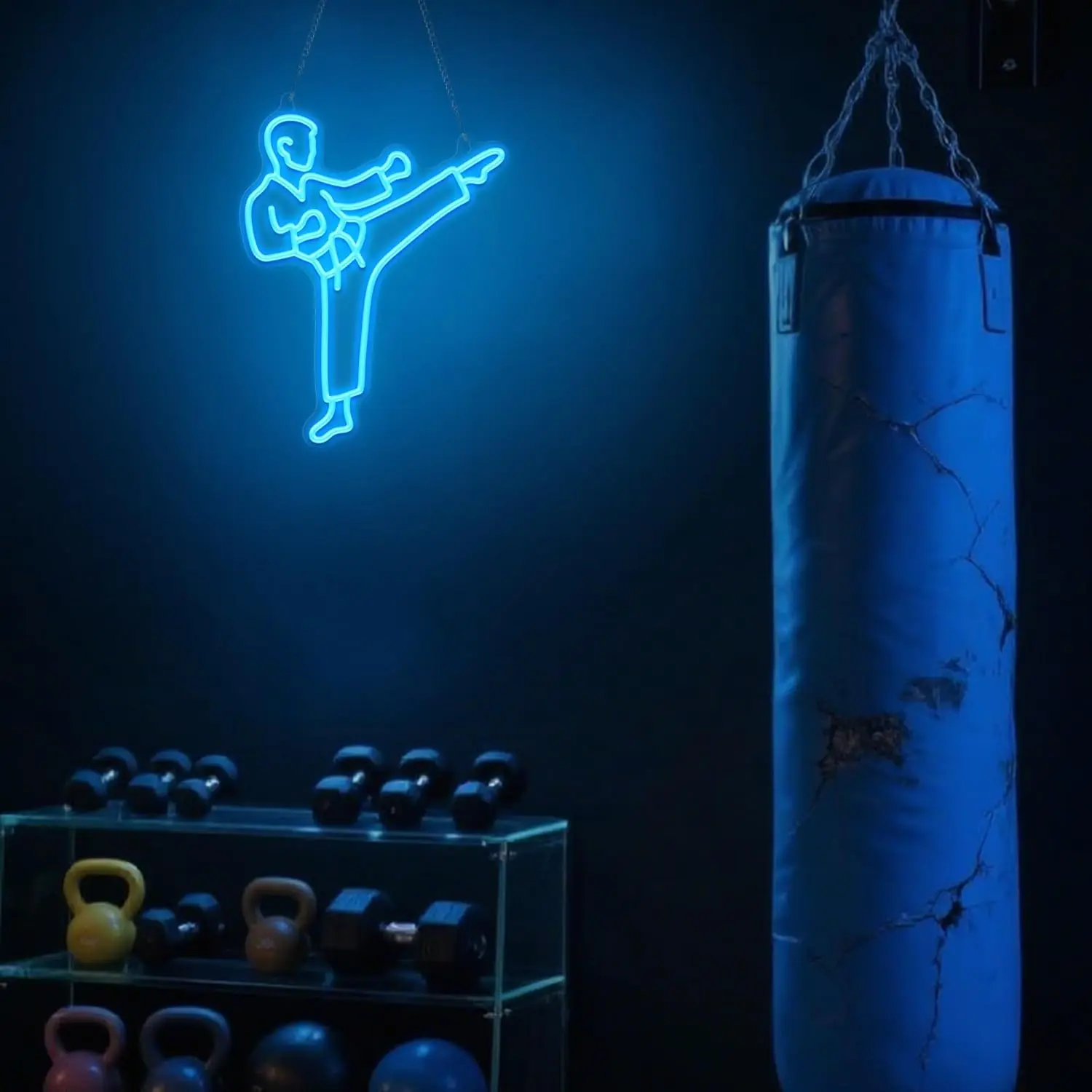 가라테맨 네온사인, 파란색 LED 벽 장식, USB 전 - Home Gym Neon Sign 리뷰 및 가격